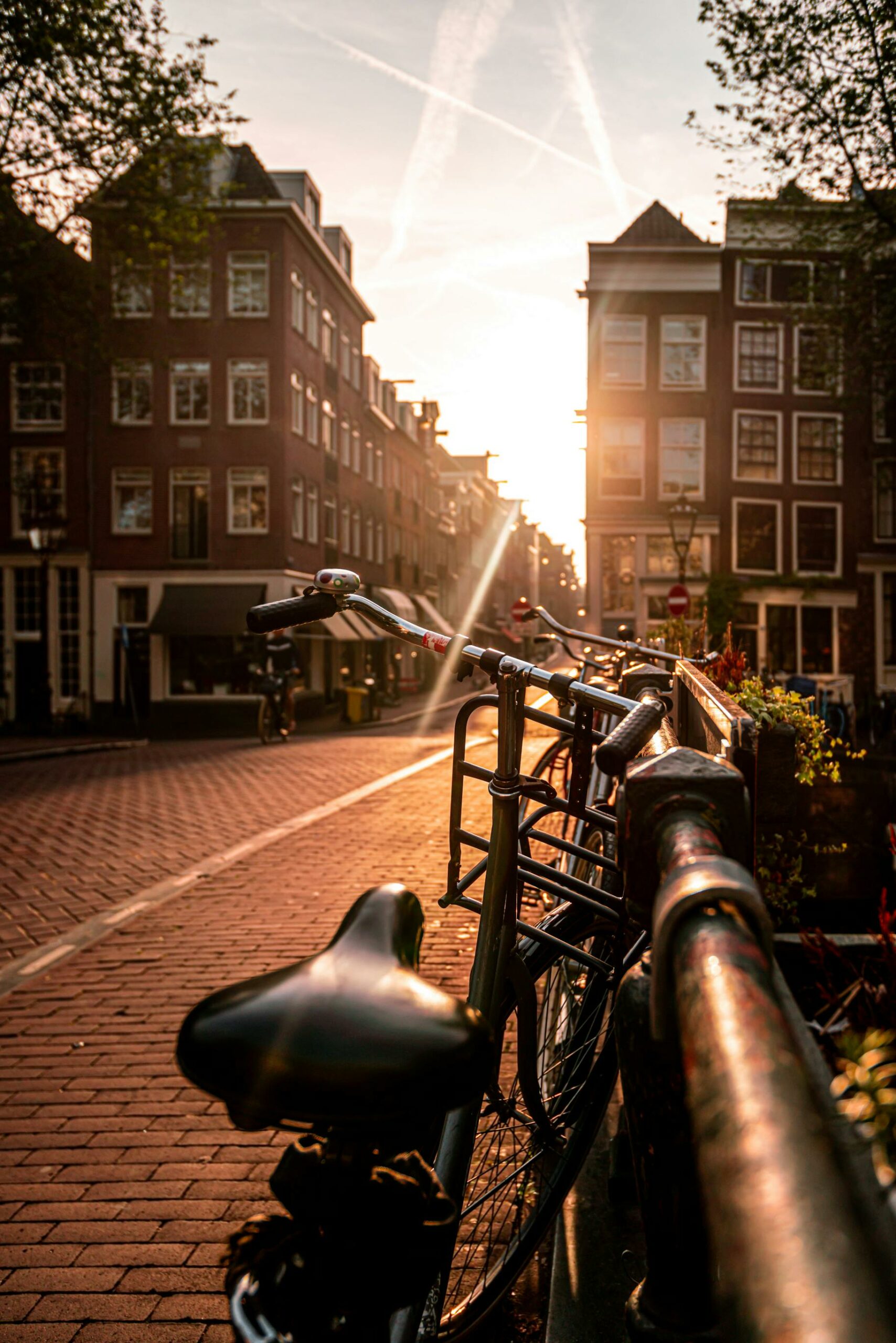 itzinya_nederland